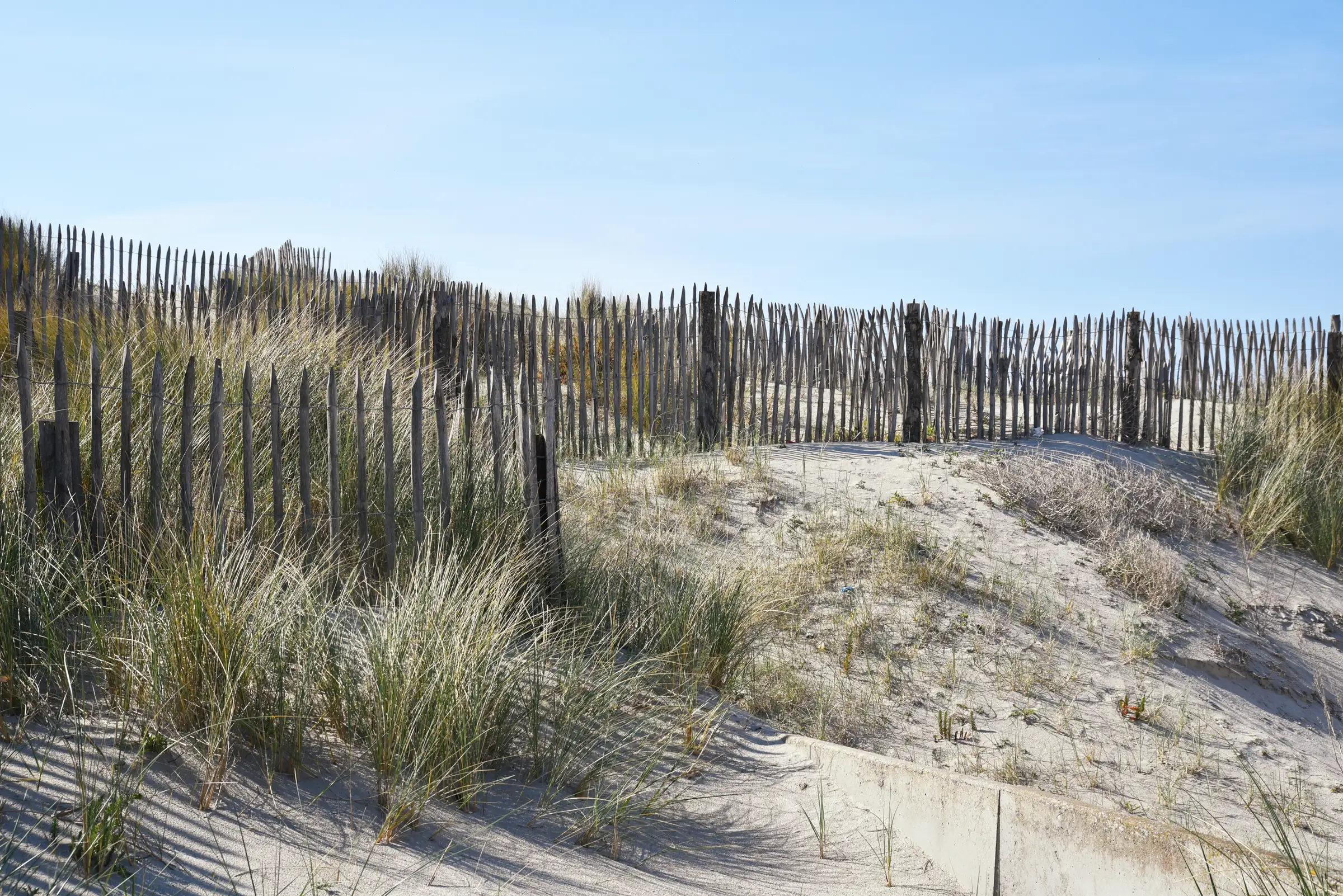 Ganivelles en bois grisé et oyats sur les dunes de Quend-Plage, à quelques pas de la résidence du Bois Flotté